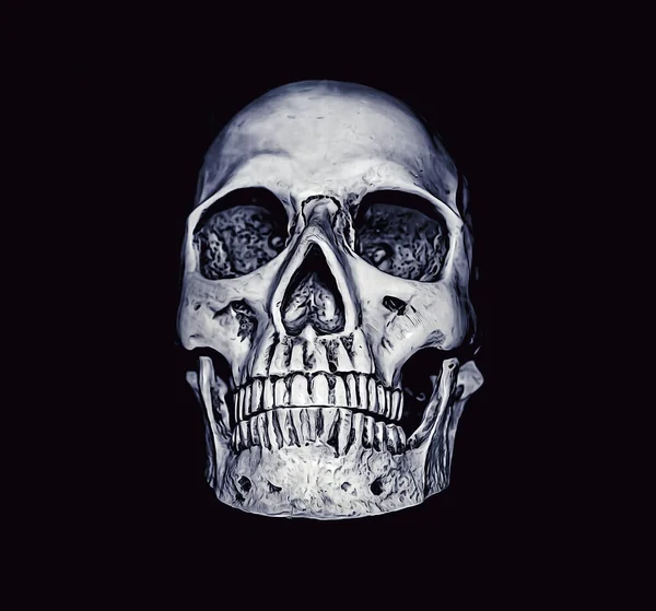 黑色背景上的人类塑料头骨 — 图库照片