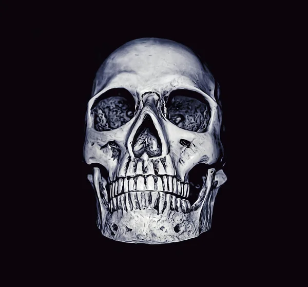 Human Plastic Skull Black Background — Stock Photo, Image