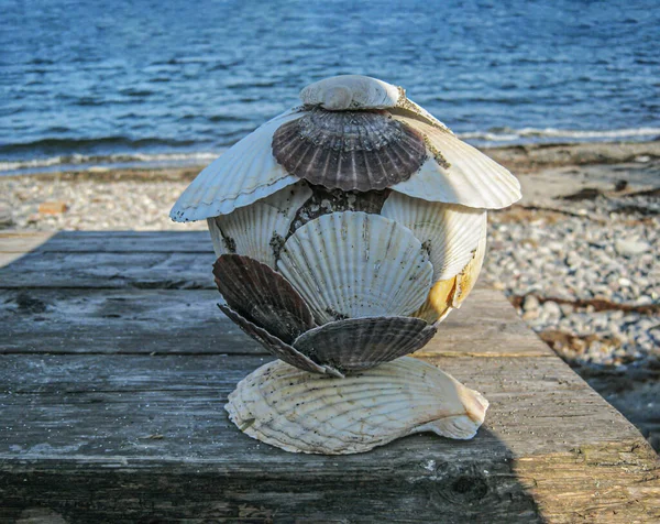 日本扇贝壳手工制的棺材 在海边做针线活 — 图库照片