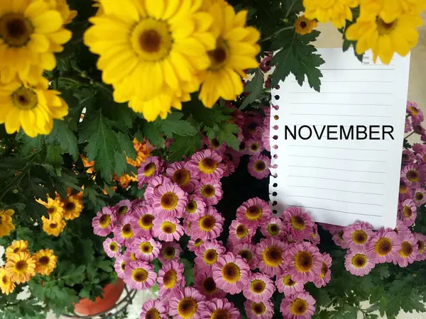 White paper with months