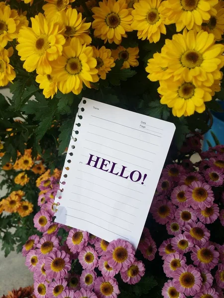 White paper with notes