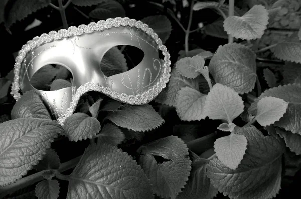 Mask in black and white — Stock Photo, Image