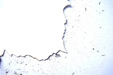 Soyut resim yanmış kağıt