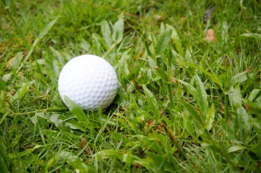 Çimlerin üzerinde golf topu
