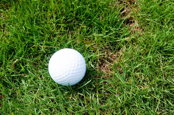 Çimlerin üzerinde golf topu