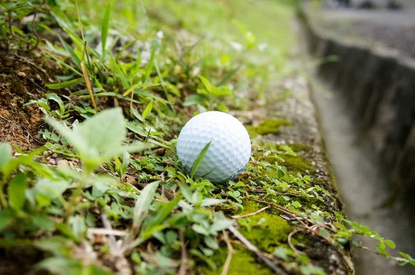 Vit Golfboll Gräset — Stockfoto