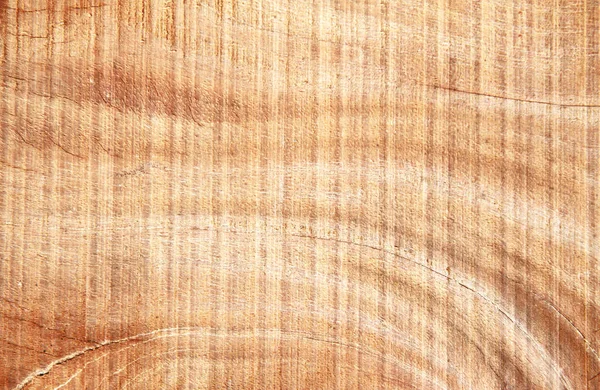 Surface ou texture du bois comme fond — Photo