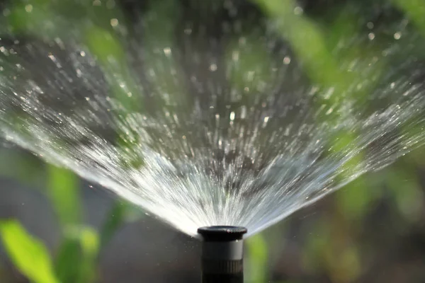 Irrigation system watering green plant — Stock Photo, Image