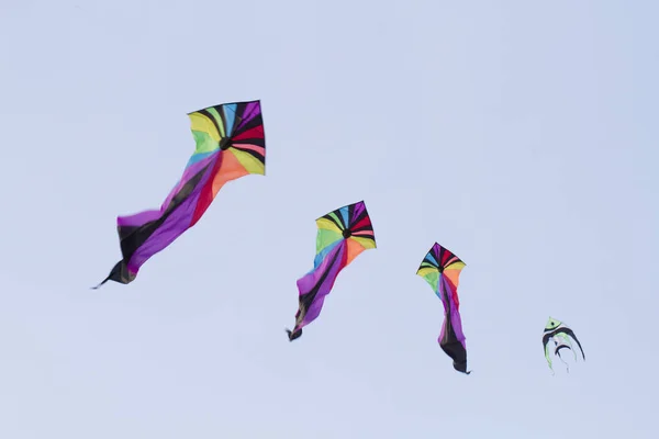 Kites with blue background — Stock Photo, Image
