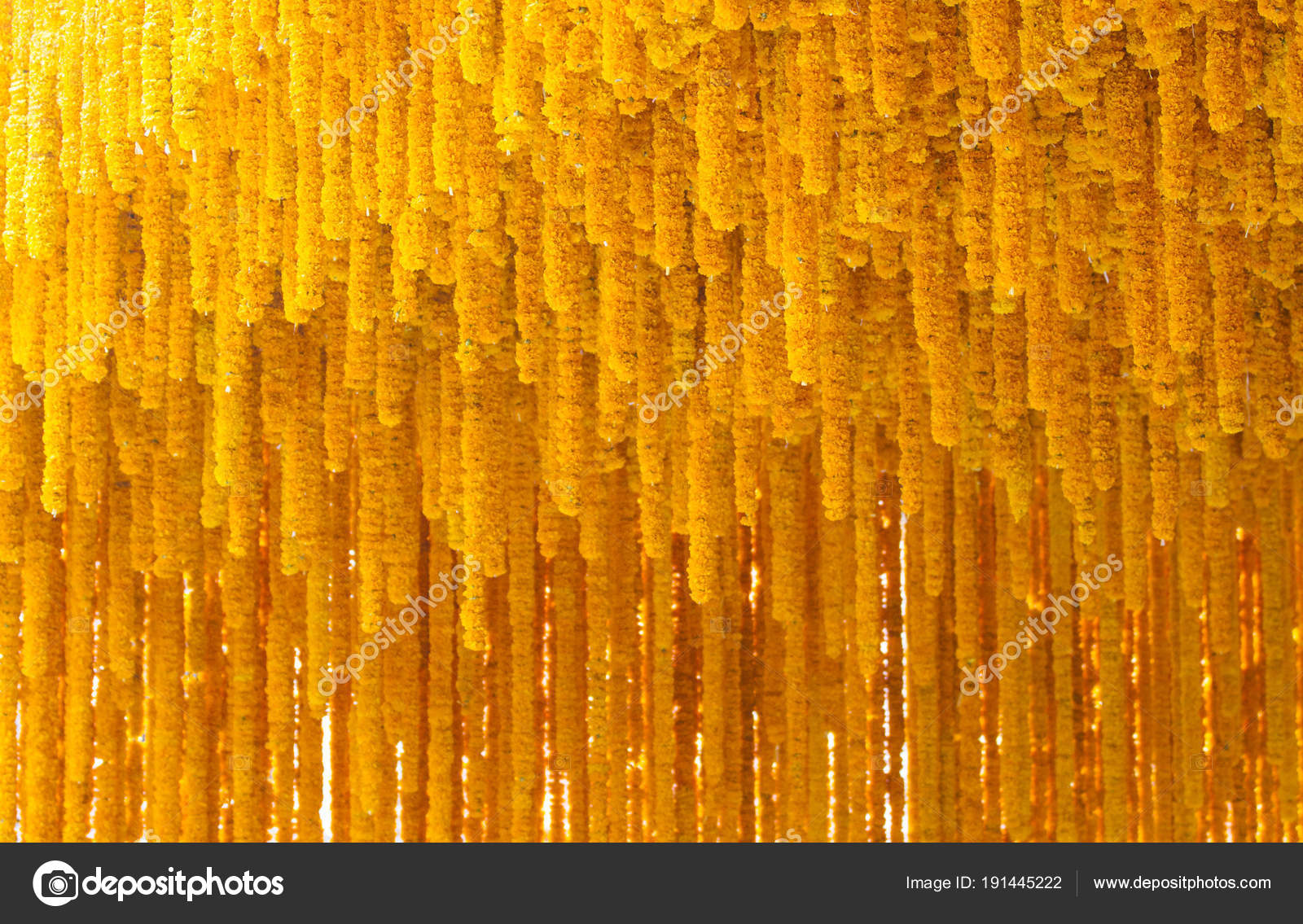 Yellow Marigold Flower Background Stock Photo by ©drpnncpp 191445222