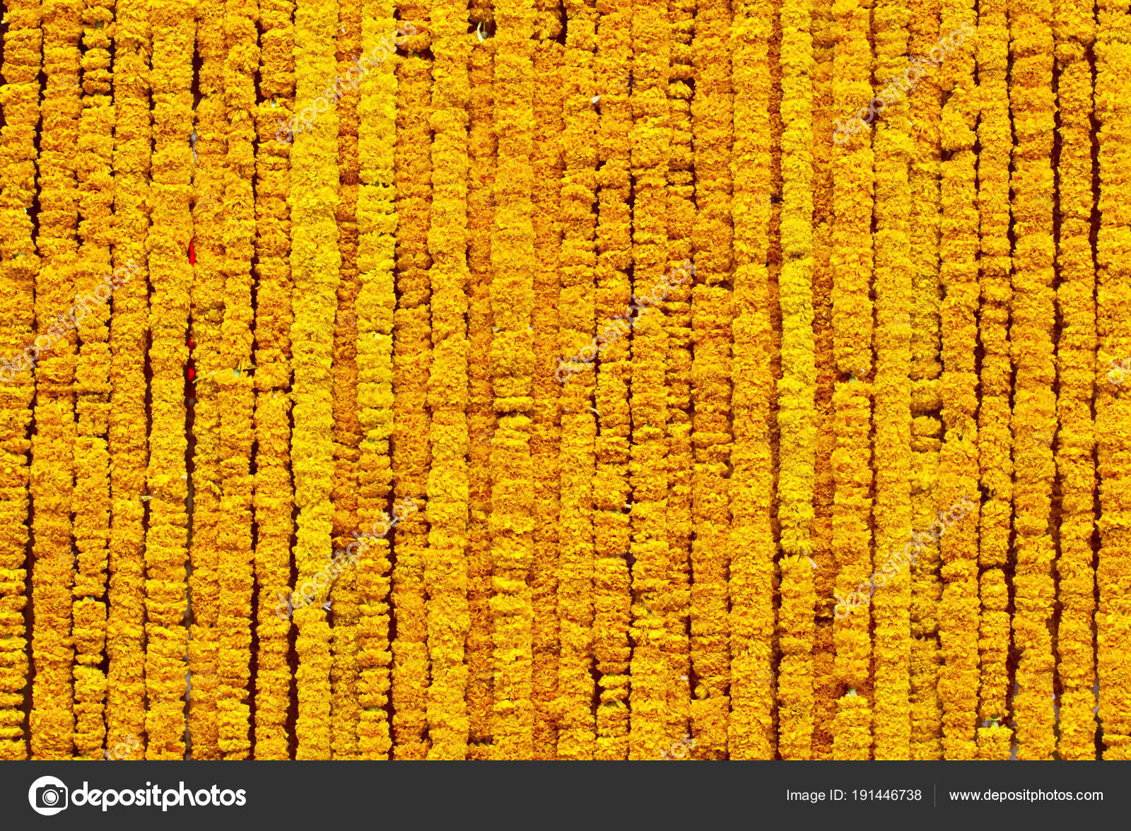 Yellow Marigold Flower Background Stock Photo by ©drpnncpp 191446738