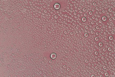 Kırmızı arkaplanda su damlaları