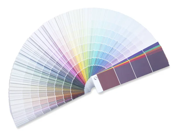 Průvodce Barvami Palety Izolovaných — Stock fotografie