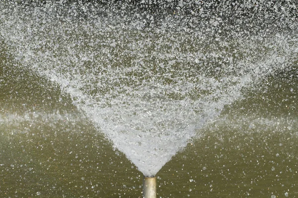 噴水の水のしぶき — ストック写真