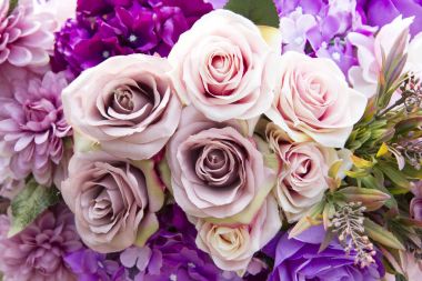 arka plan için pembe Gül