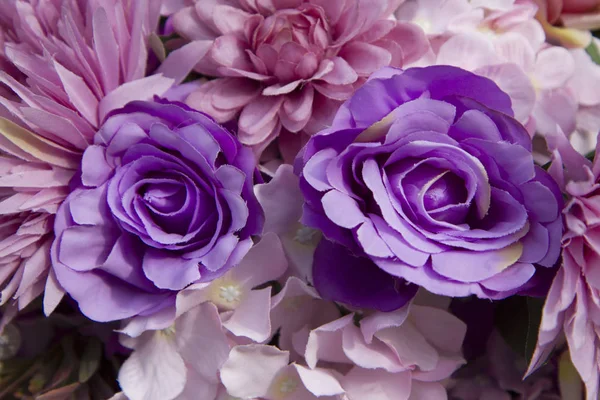 Purple roses for background