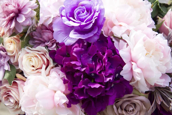 Rose Viola Sfondo — Foto Stock