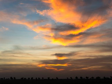 Gündoğumu günbatımı, bulutlu, arka plan