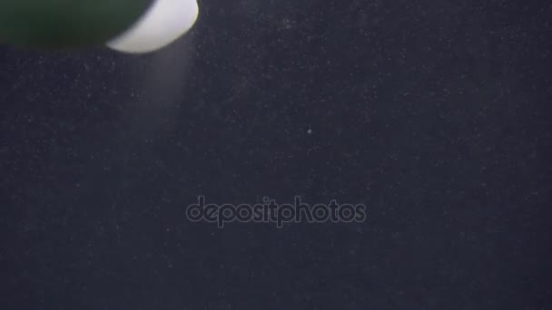 Branco Azul e amarelo medusas flutuando em aquário de água em 4K (UHD ) — Vídeo de Stock