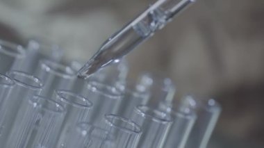bir pipet ile çalışan laboratuvar bilim adamı analiz eder ve Dna veya test tüpleri molekülleri ayıklamak.