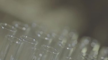 bir pipet ile çalışan laboratuvar bilim adamı analiz eder ve Dna veya test tüpleri molekülleri ayıklamak.