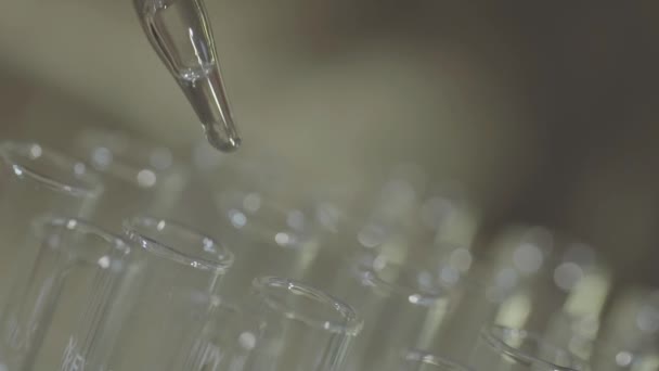 Scientifique Laboratoire Travaillant Avec Une Pipette Analyse Extrait Adn Les — Video