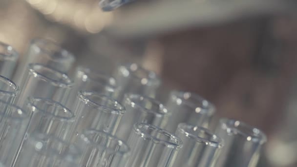 Лаборант Работающий Пипеткой Анализирует Извлекает Днк Молекулы Пробирки — стоковое видео