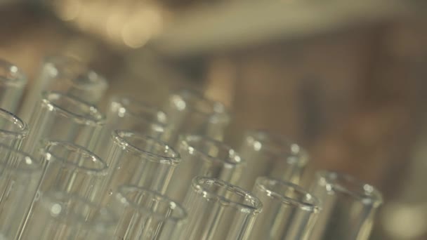 Laboratory Scientist Working Pipette Analyzes Extract Dna Molecules Test Tubes — Stock Video