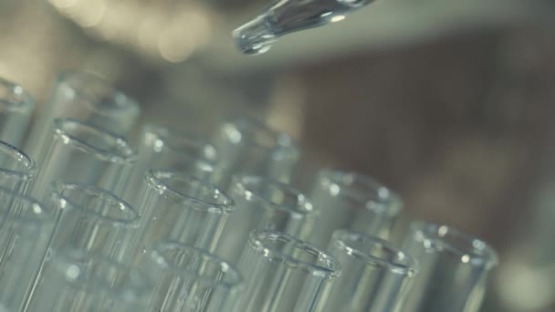 Laboratory Scientist Working Pipette Analyzes Extract Dna Molecules Test Tubes — Stock Video