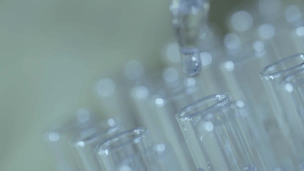 使用吸管的实验室科学家分析和提取试管中的 Dna 或分子 — 图库视频影像