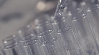 bir pipet ile çalışan laboratuvar bilim adamı analiz eder ve Dna veya test tüpleri molekülleri ayıklamak.