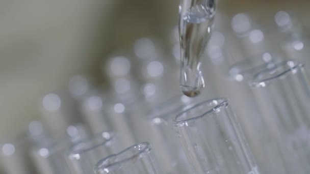 Laboratorní Vědec Který Pracuje Pipetou Analyzuje Extrahování Dna Nebo Molekul — Stock video