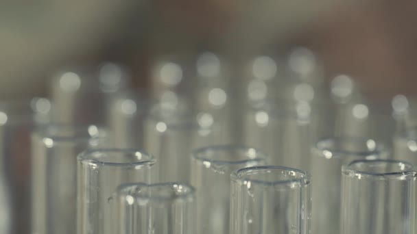 Laboratóriumi Tudós Pipetta Együttműködve Elemzi Kivonat Dns Vagy Kémcsöveket Molekulák — Stock videók