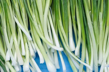 Su üzerinde yüzen yeşil soğan