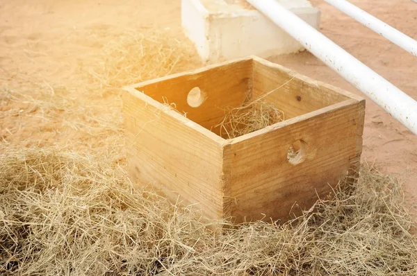 Fyrkantig trälåda placeras på en hög med halm — Stockfoto