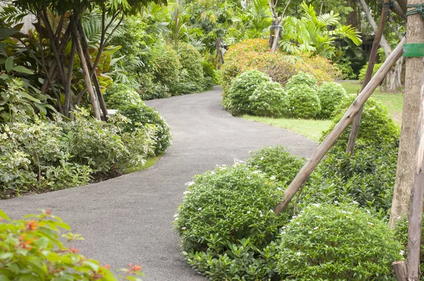 Curve walkway in garden — Stock Photo, Image