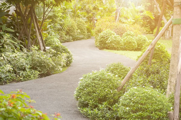 Krzywa chodnik w ogrodzie ze światłem — Zdjęcie stockowe