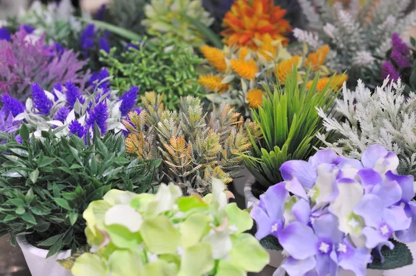 Vari bei fiori per la decorazione domestica — Foto Stock
