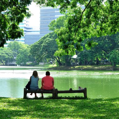 Birlikte büyük Gölü rock bankta oturan çift tr