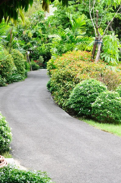 Kromme wandelpad in de tuin — Stockfoto