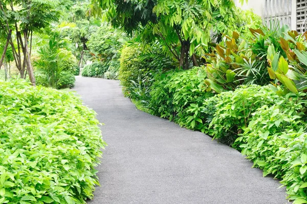 Passerella curva in giardino — Foto Stock