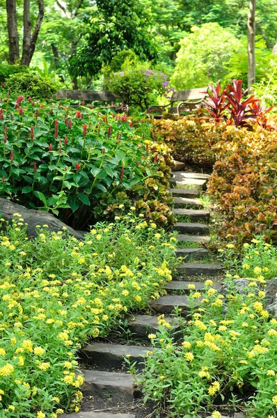 Escalera de roca en jardín de flores — Foto de Stock
