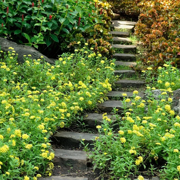 Escalera de roca en jardín de flores — Foto de Stock