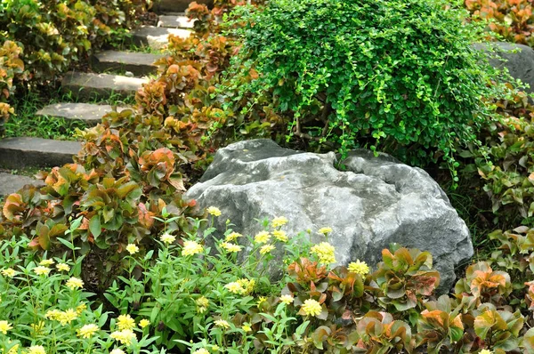 Big rock and stone stairs in garden with beautiful plants — Stock Photo, Image