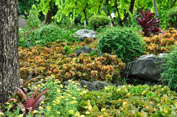 Verschillende bloem en plant voor mooie tuinieren — Stockfoto