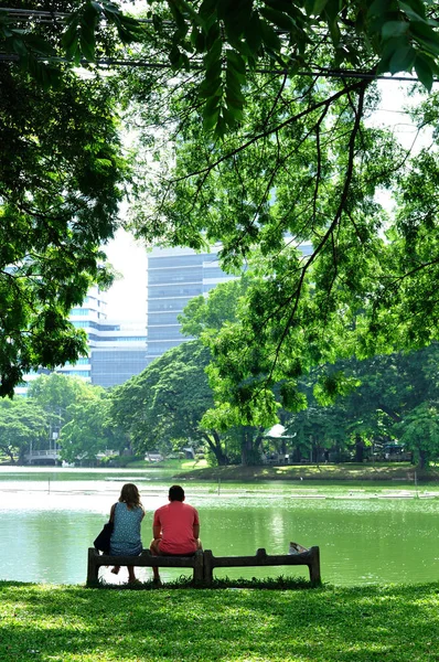 Birlikte büyük Gölü rock bankta oturan çift tr