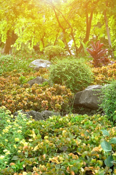Varias flores y plantas para una buena jardinería con destellos ligeros — Foto de Stock