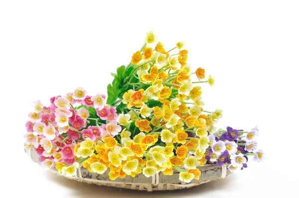 Kwiaty sztuczne kolor na białym tle — Zdjęcie stockowe