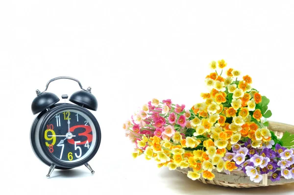 Штучні кольорові квіти і будильник на білому тлі — стокове фото