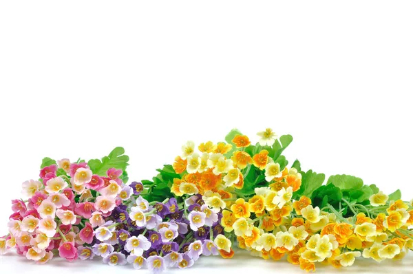 Artificial color flowers on white background — Stock Photo, Image